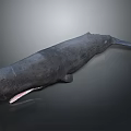 Large Black Whale With Open Mouth And Sharp Teeth On Gray Background 3d model
