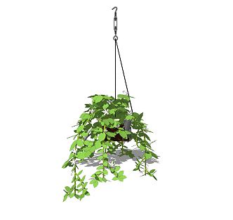 Modern hanging basket hanging plant green plant hanging basket potted plant 3d model