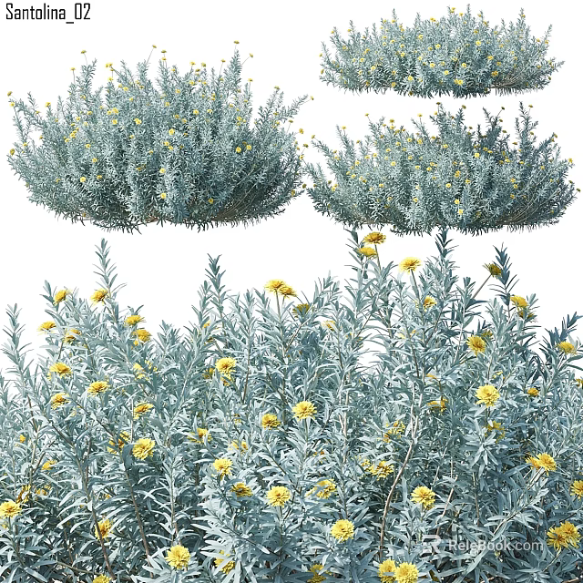 Natural Style Decorative Ornament Set With Silver Gray Leaves And Yellow Small Flowers 3d model 