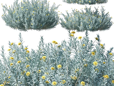 Natural Style Decorative Ornament Set With Silver Gray Leaves And Yellow Small Flowers 3d model