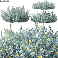 Natural Style Decorative Ornament Set With Silver Gray Leaves And Yellow Small Flowers
