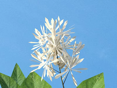 Delicate White Paper Flower With Green Leaves Against Blue Sky Background 3d model