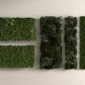plant wall 3d model