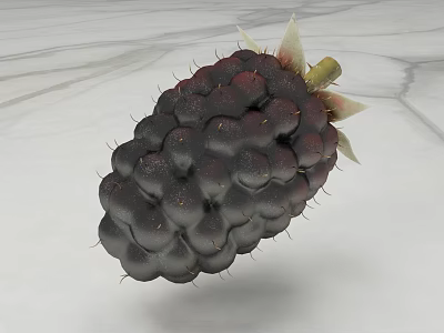 Fresh Ripe Blackberry With Juicy Plump Berries Green Leafy Sepals On Smooth Surface 3d model