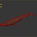 Realistic 3D Model of a Majestic Whale Aquatic Animal on Gray Background