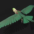 Green Parrot With Spread Green Wings And Red Beak On Black Background