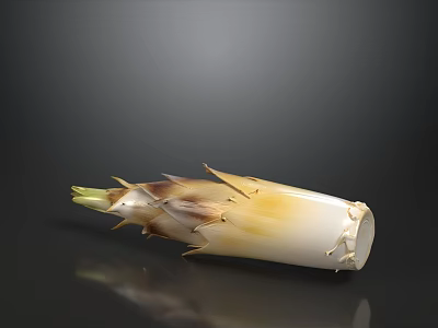 Freshly Harvested Organic Bamboo Shoot as Natural Healthy Cooking Ingredient for Dishes 3d model