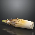 Freshly Harvested Organic Bamboo Shoot as Natural Healthy Cooking Ingredient for Dishes