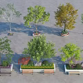 Decorative Tree Planters Featuring Various Trees And Wooden Benches With Ornamental Plants
