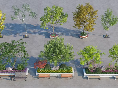 Decorative Tree Planters Featuring Various Trees And Wooden Benches With Ornamental Plants 3d model