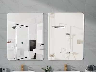 Bathroom Mirrors Reflecting Shower Area And Sink 3d model