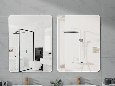 Modern Mirror Bathroom Toilet Mirror 3d model