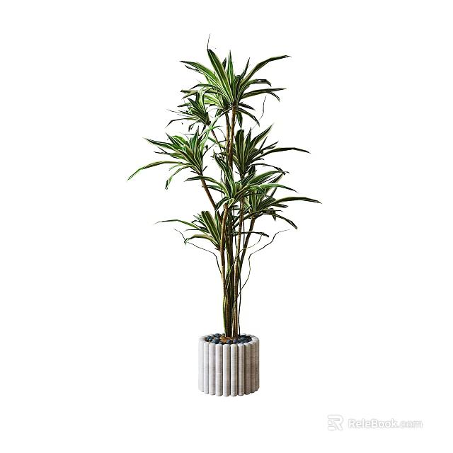 Tall Green Leafy Potted Plant With Long Leaves Slender Stems And Striped Cylindrical Pot 3d model 