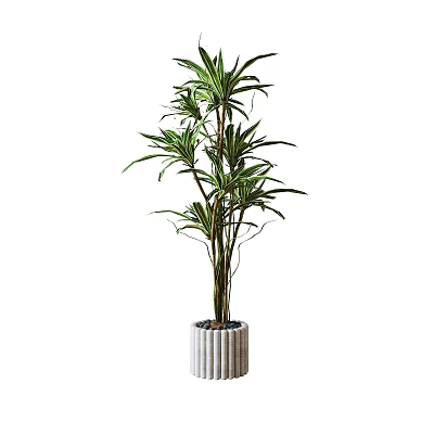 Tall Green Leafy Potted Plant With Long Leaves Slender Stems And Striped Cylindrical Pot 3d model
