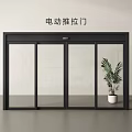 Electric Sliding Door With Black Frame Glass Panel In Interior And Potted Plant