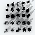 Different Types of Arbor Trees Collection with Shadows on White Background