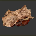 Orange Textured Surface Sculpture With Irregular Shape And Hollow Section On Dark Background