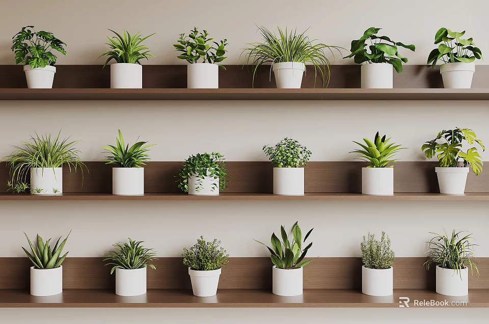 Indoor Potted Plants On Multiple Wooden Shelves With White Pots And Green Foliage 3d model 