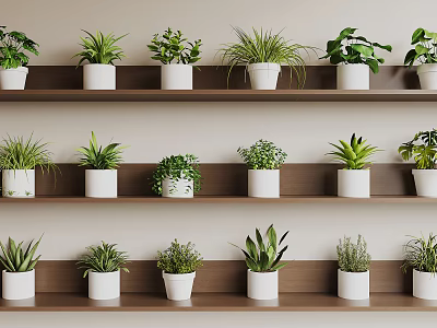 Indoor Potted Plants On Multiple Wooden Shelves With White Pots And Green Foliage 3d model