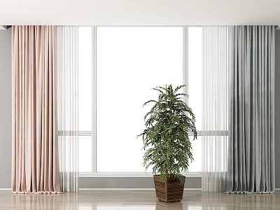 Pink and Grey Window Curtains with White Sheer Panels and Green Plant in Brown Pot 3d model