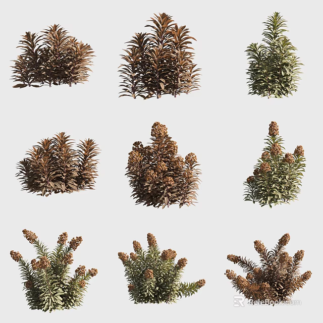 Various Brown And Green Leafy Flowers And Plants For Garden Decoration 3d model 