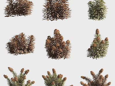 Various Brown And Green Leafy Flowers And Plants For Garden Decoration 3d model