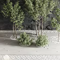 Modern Garden Ornament Arrangement With Lush Green Trees Shrubs Dark Textured Wall And Concrete Platform