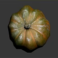 Fresh Single Green And Orange Striped Pumpkin With Natural Frosted Surface On Dark Background