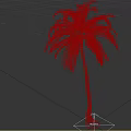 Tall Palm Tree with Slender Trunk and Green Feathery Leaves on White Background