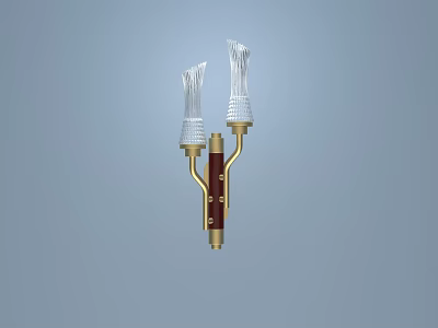 Classic Elegant Wall Sconce With Double Arms Gold Brown Accents And Transparent Shades 3d model