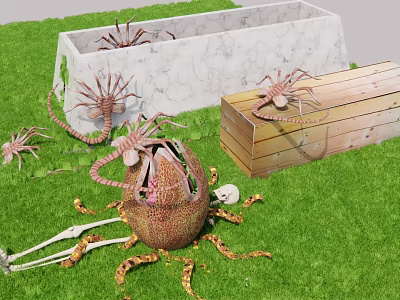 Strange Tentacled Creatures With Broken Shell And Bones Near Marble Container Wooden Crate On Grass 3d model
