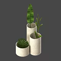 Stylish Potted Plants in Concrete Cylindrical Pots with Various Heights and Green Leaves