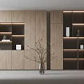 Modern Wooden Bookcase with Layered Shelves LED Lighting and Decorative Elements 3d model