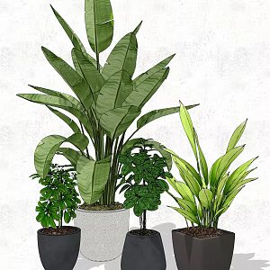 Modern potted plant potted combination 3d model