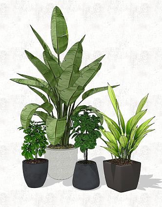 Modern potted plant potted combination 3d model