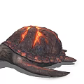 Turtle turtle game character 3d model