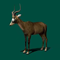 Realistic Brown Antelope With Curved Horns Standing On Green Background