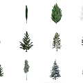 The Modern Tree 3d model