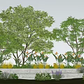 Tall Trees With Lush Green Foliage In Garden Bed With Colorful Flowers And Blue Sky