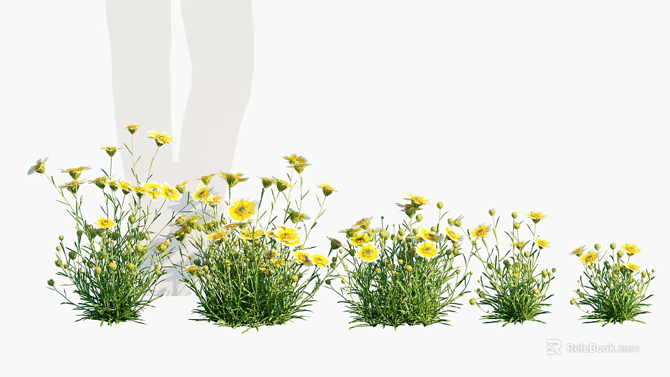Bright Yellow Flowers And Lush Green Grass Growing In Multiple Clusters 3d model 