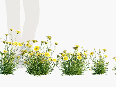 Bright Yellow Flowers And Lush Green Grass Growing In Multiple Clusters 3d model