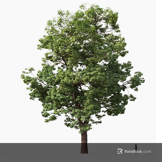 Lush Green Arbor with Dense Foliage and Strong Trunk in Natural Landscape 3d model 