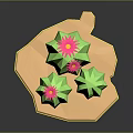 Low Poly Green Cactus Plants With Pink Flowers On Geometric Base