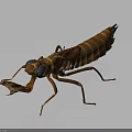 Detailed 3D Rendered Brown Striped Mantis Insect on Dark Background