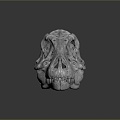 Modern Dinosaur Skull Skull Tyrannosaurus Rex Skull Animal Skull 3d model