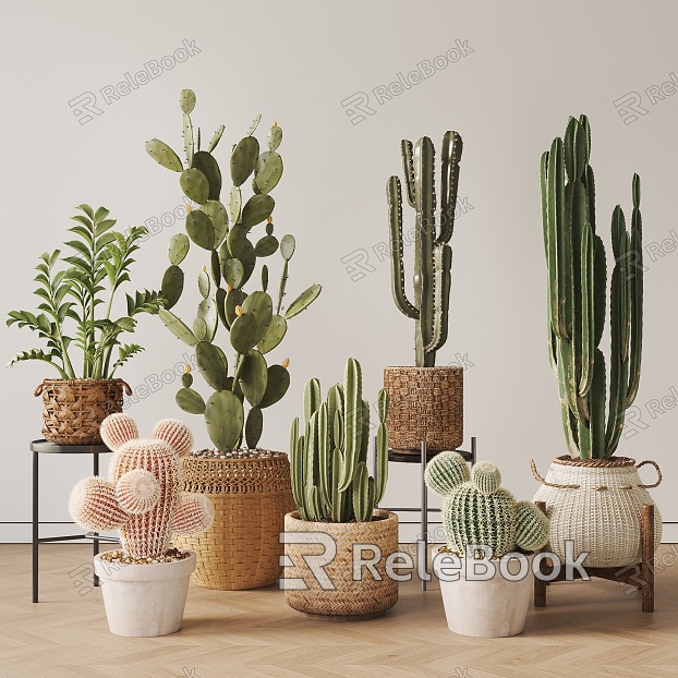 Modern Cactus Plant Potted model