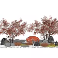 Modern Maple Landscape Tree Red Maple Maple Stone 3d model