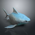 Light Blue Aquatic Animal Shark 3D Model With Fins Sharp Teeth On Dark Background
