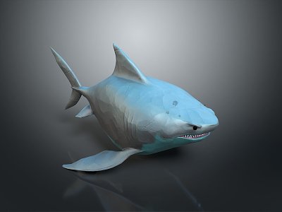 shark great white shark whale shark hammerhead shark tiger head shark man-eating shark blue shark coral red coral white coral 3d model