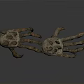 Animal Claw With Spiked Projections And Rough Textured Surface Design